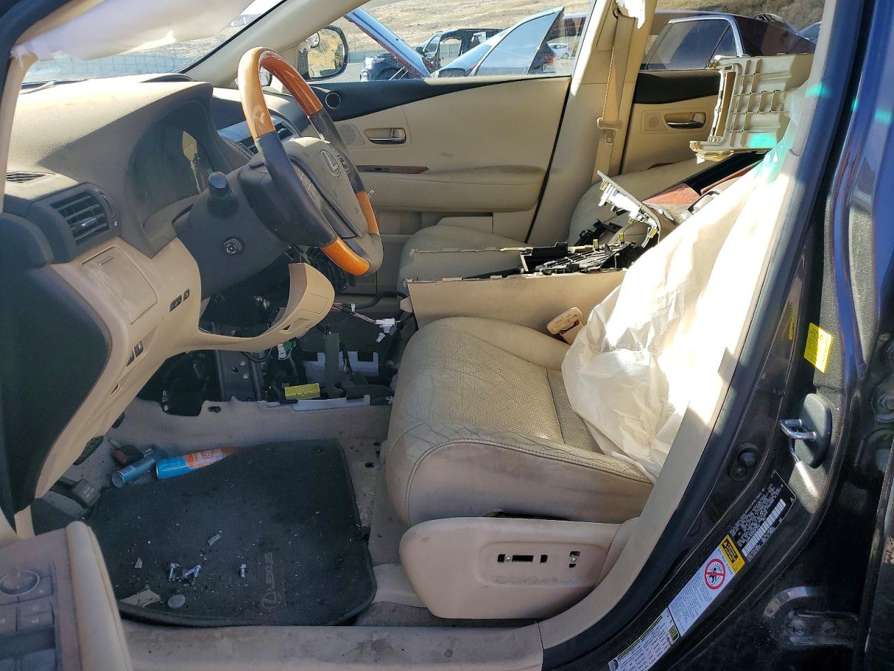 2010 LEXUS RX350