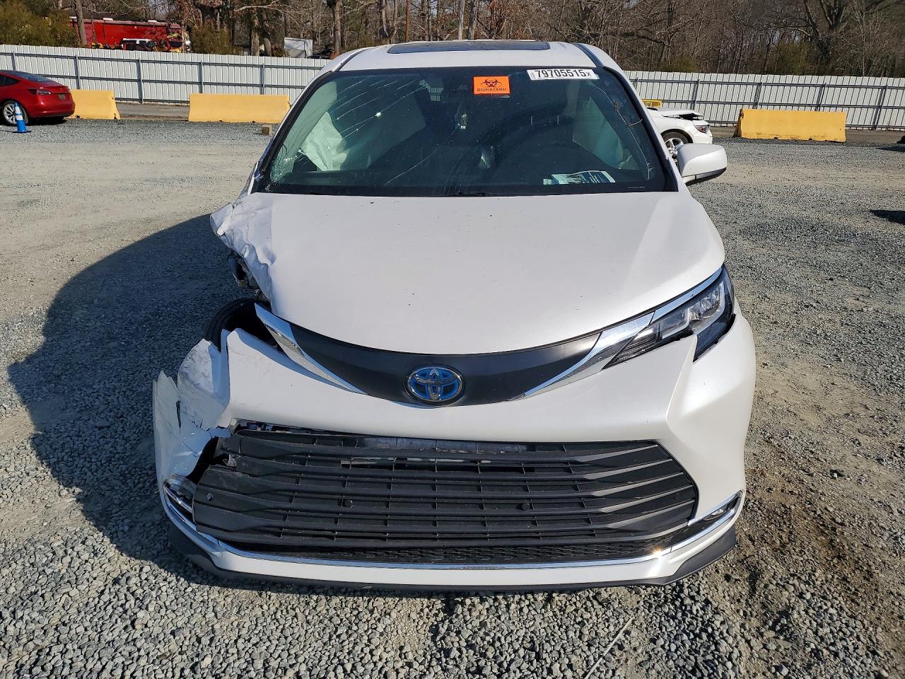 2023 TOYOTA All Models