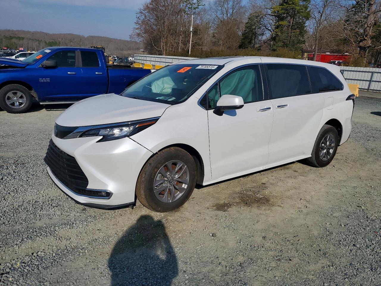 2023 TOYOTA All Models