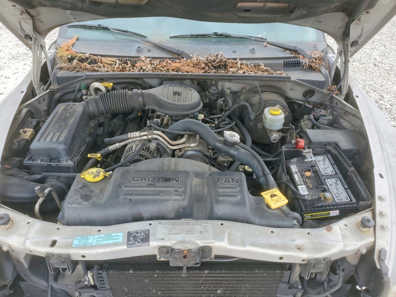 2000 DODGE DAKOTA
