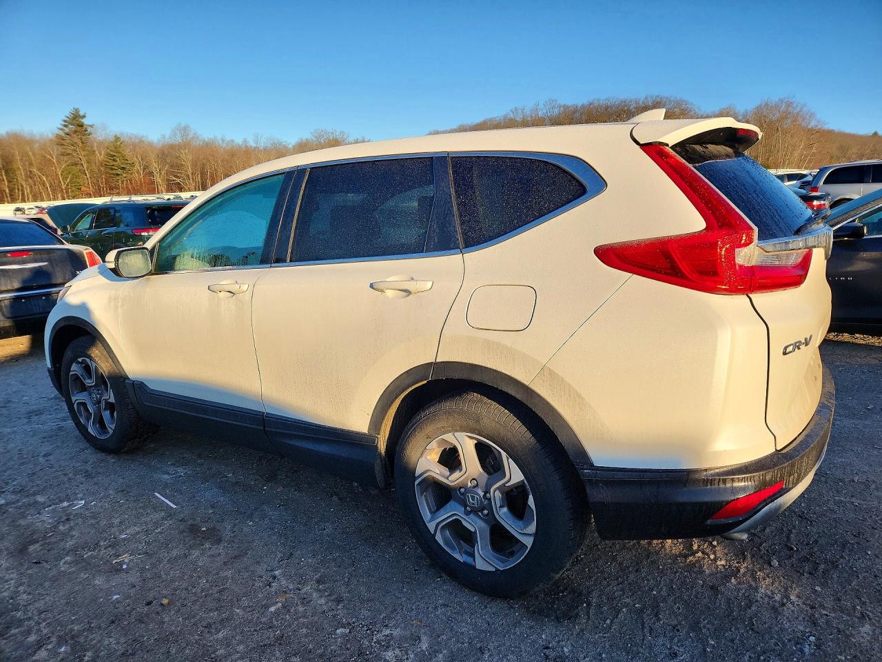 2019 HONDA CRV