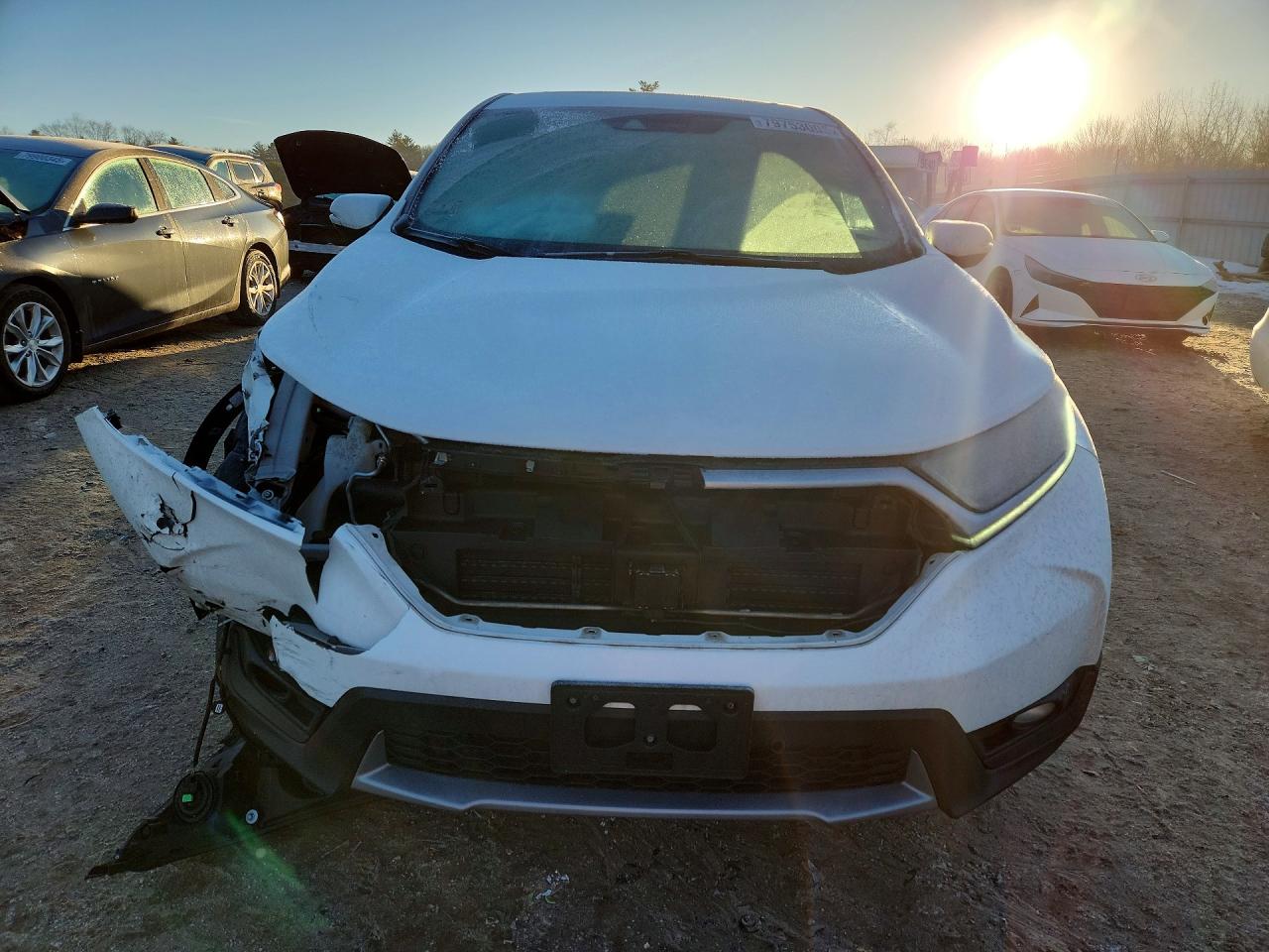 2019 HONDA CRV