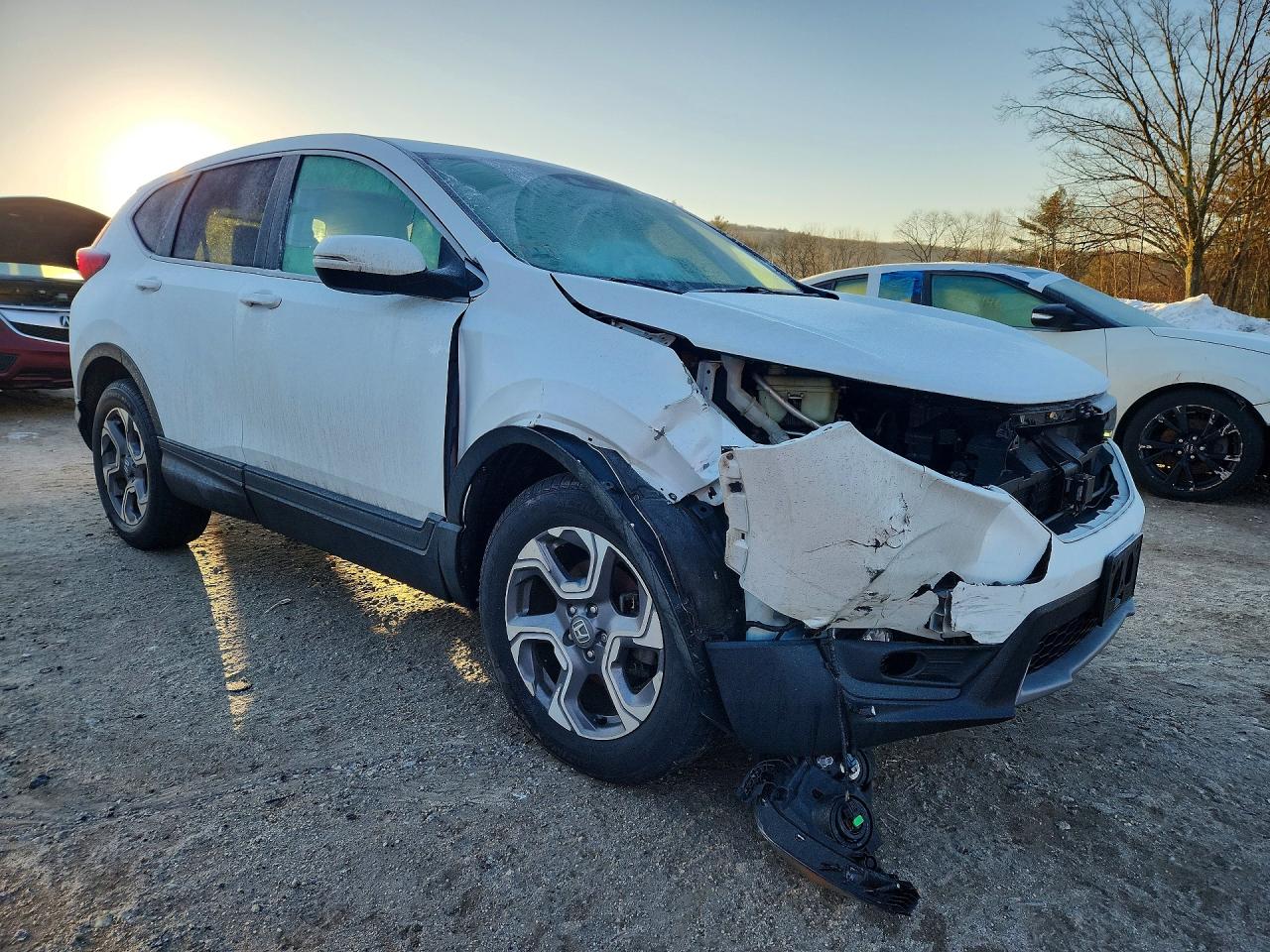 2019 HONDA CRV