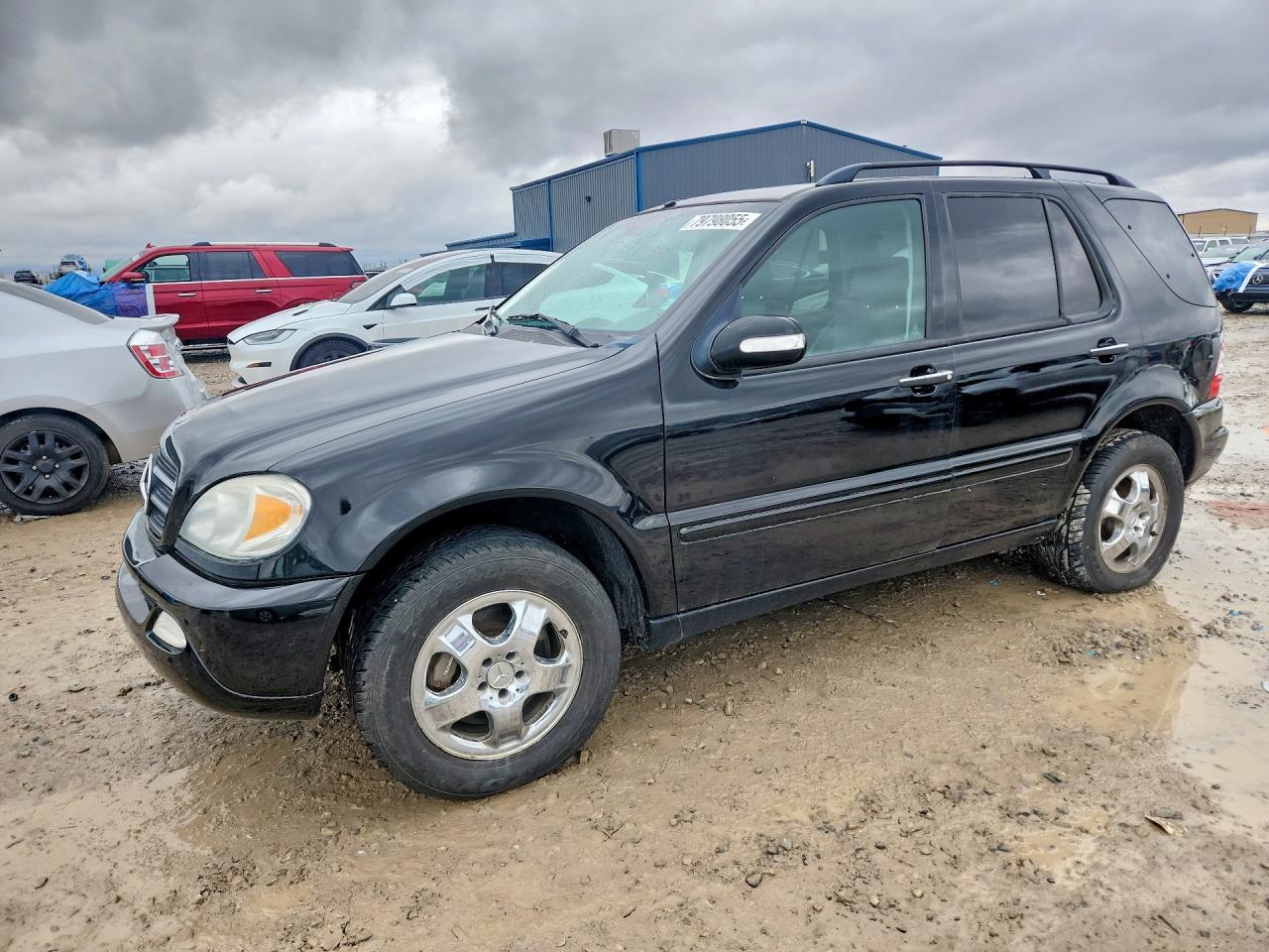 2003 MERCEDES-BENZ M-CLASS