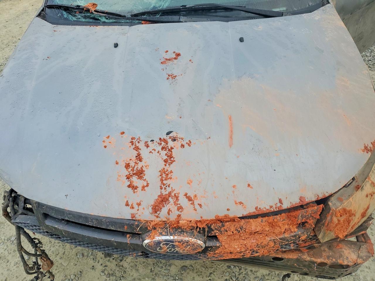 2010 FORD FOCUS