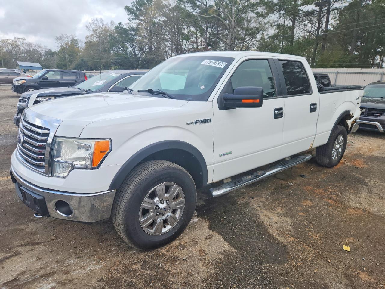 2011 FORD F150