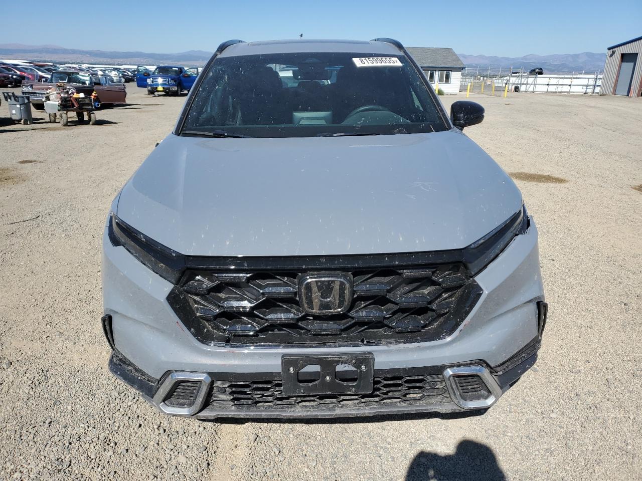 2024 HONDA CRV