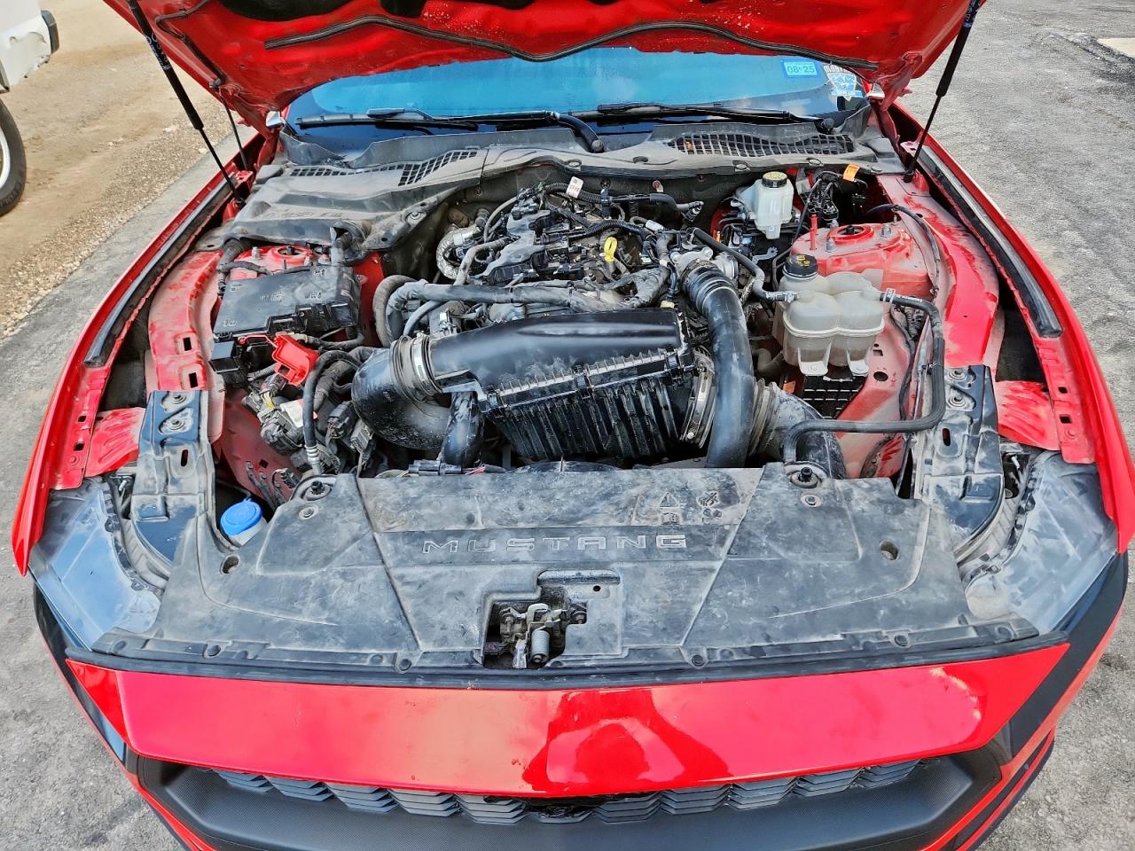 2024 FORD ALL Models