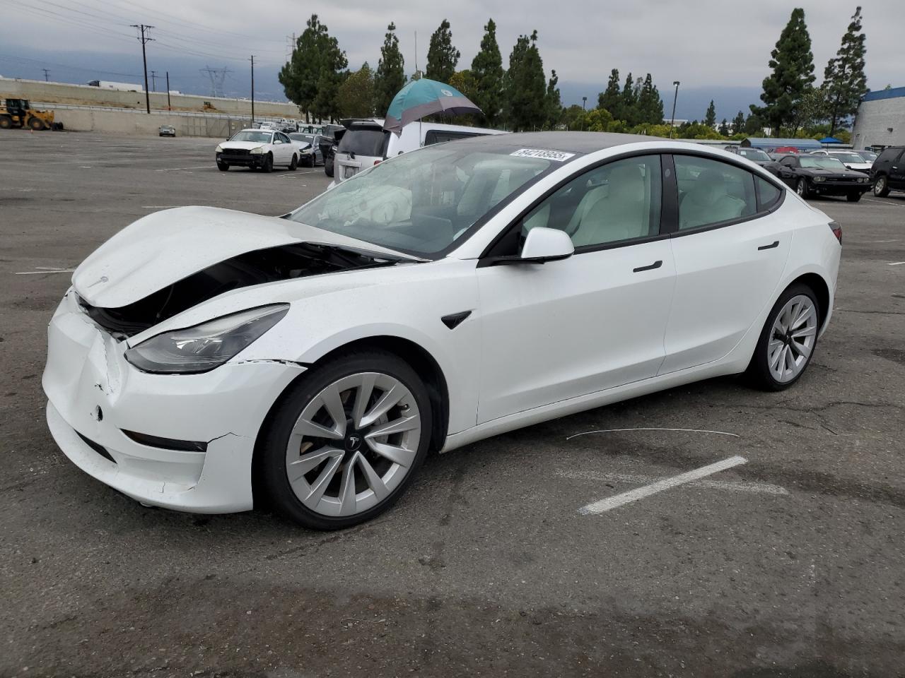 2023 TESLA MODEL 3