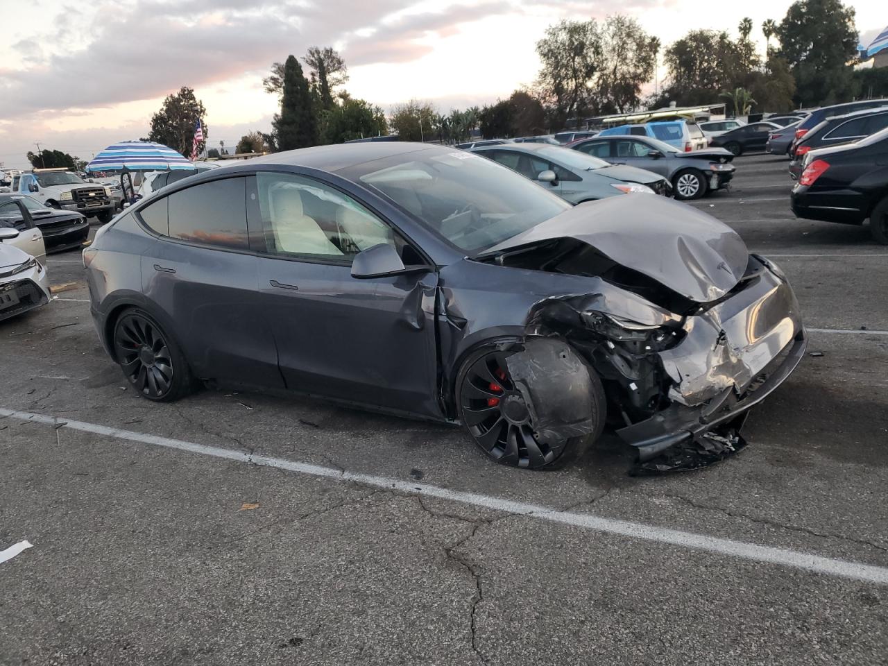 2023 TESLA MODEL Y