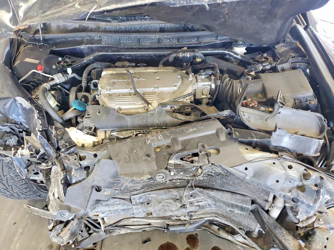 2010 HONDA ACCORD