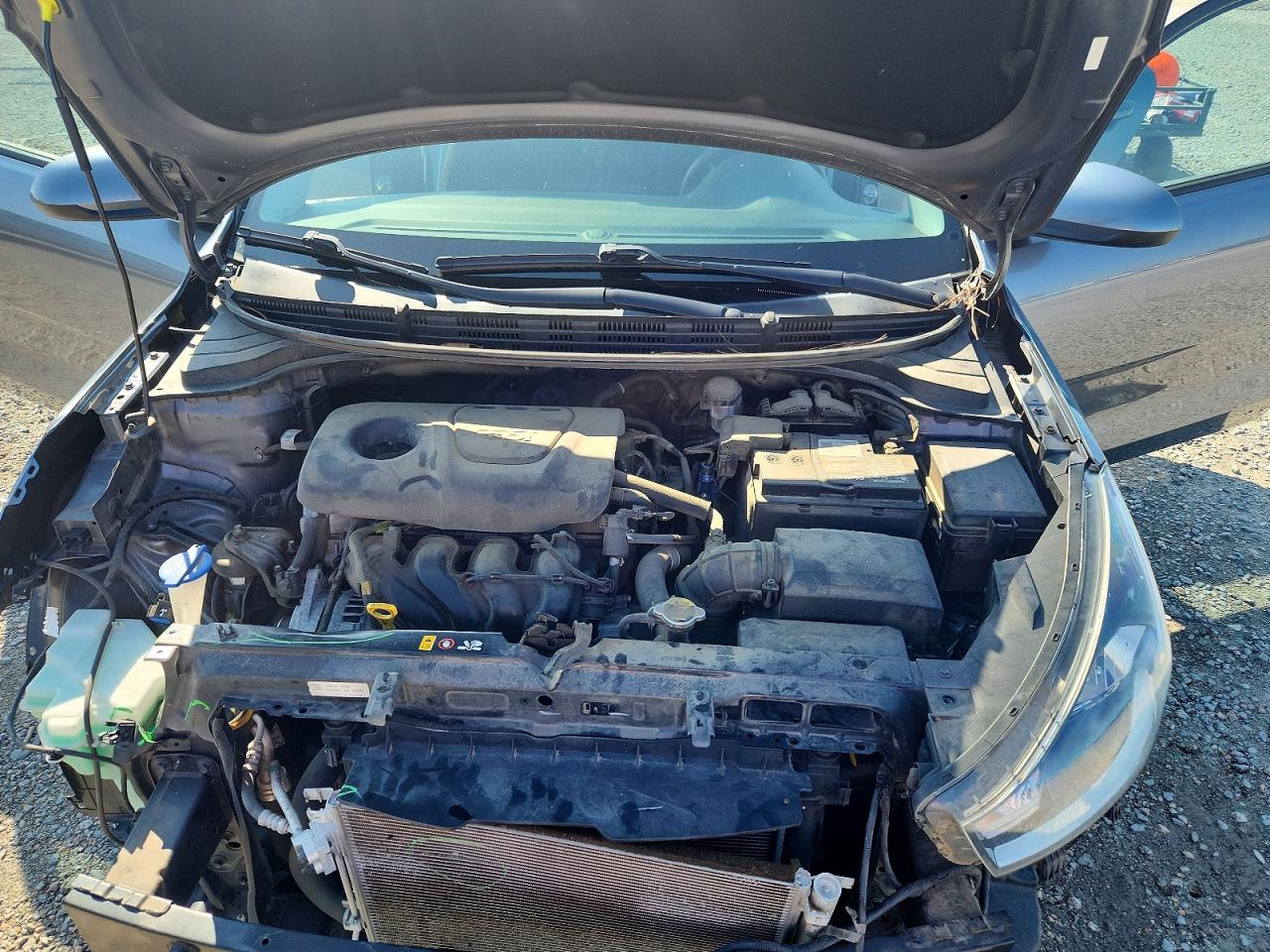 2019 KIA RIO