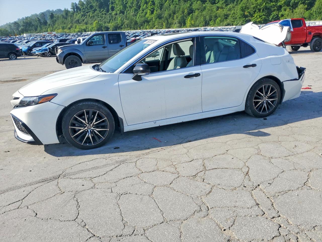 2023 TOYOTA CAMRY SOLA