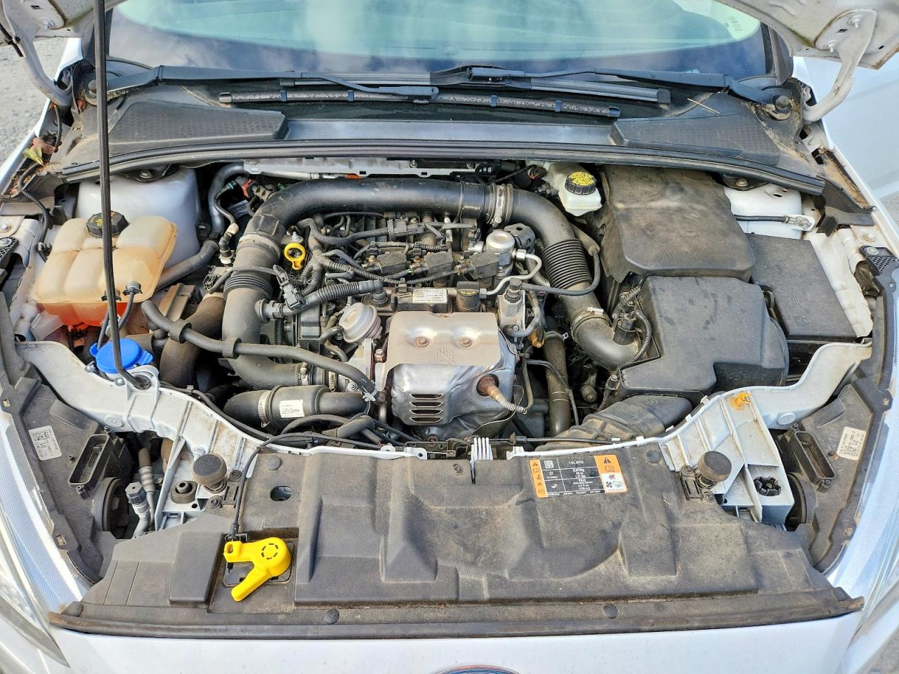 2017 FORD FOCUS
