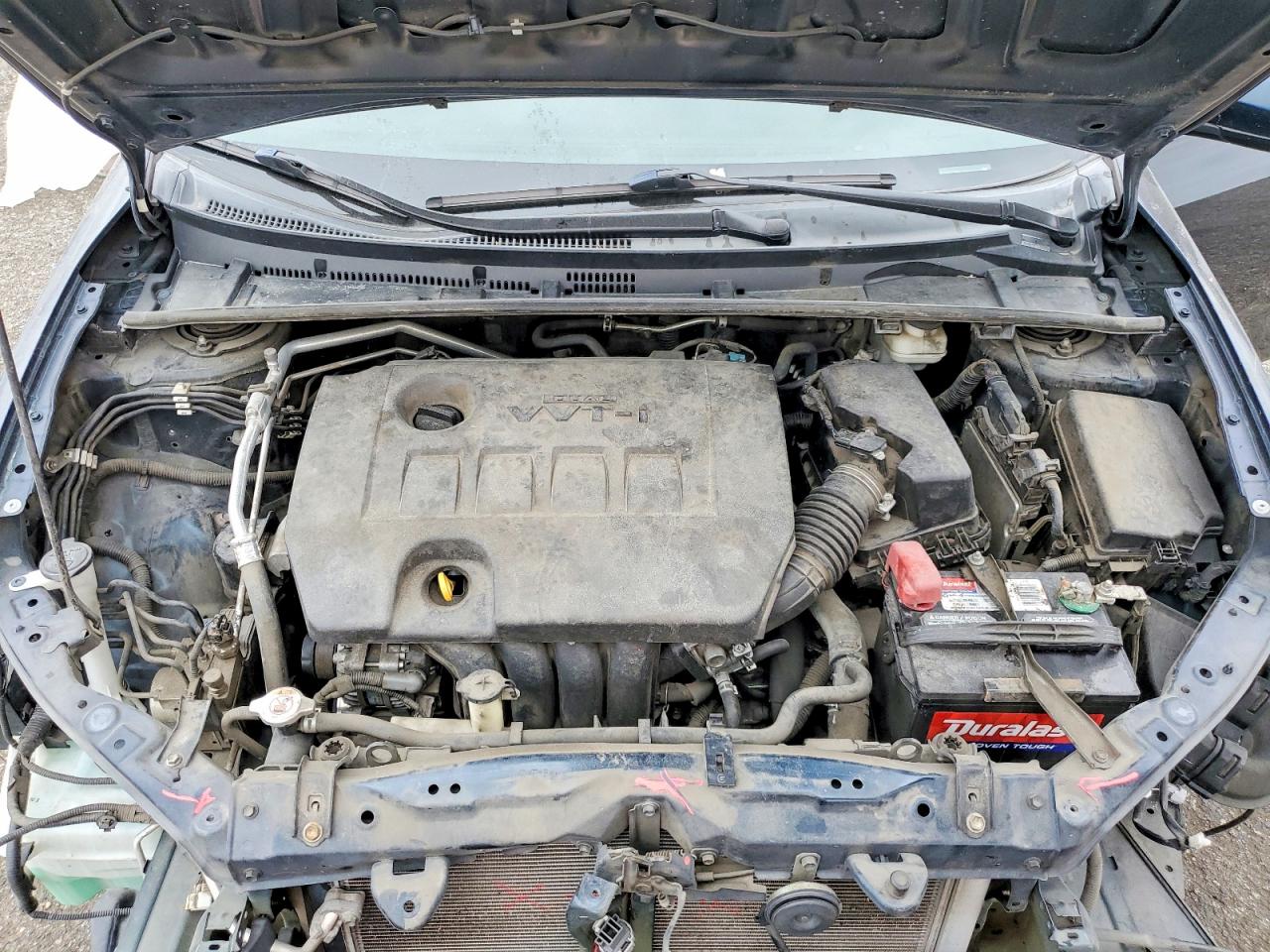2019 TOYOTA COROLLA