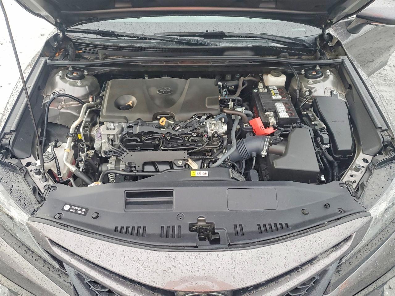2023 TOYOTA CAMRY