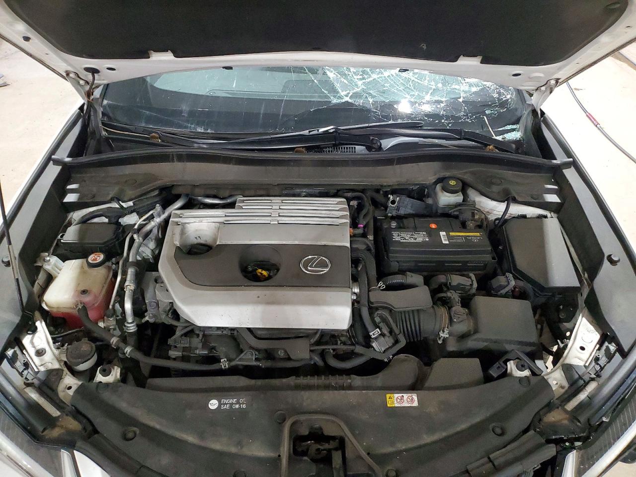 2019 LEXUS ALL OTHER