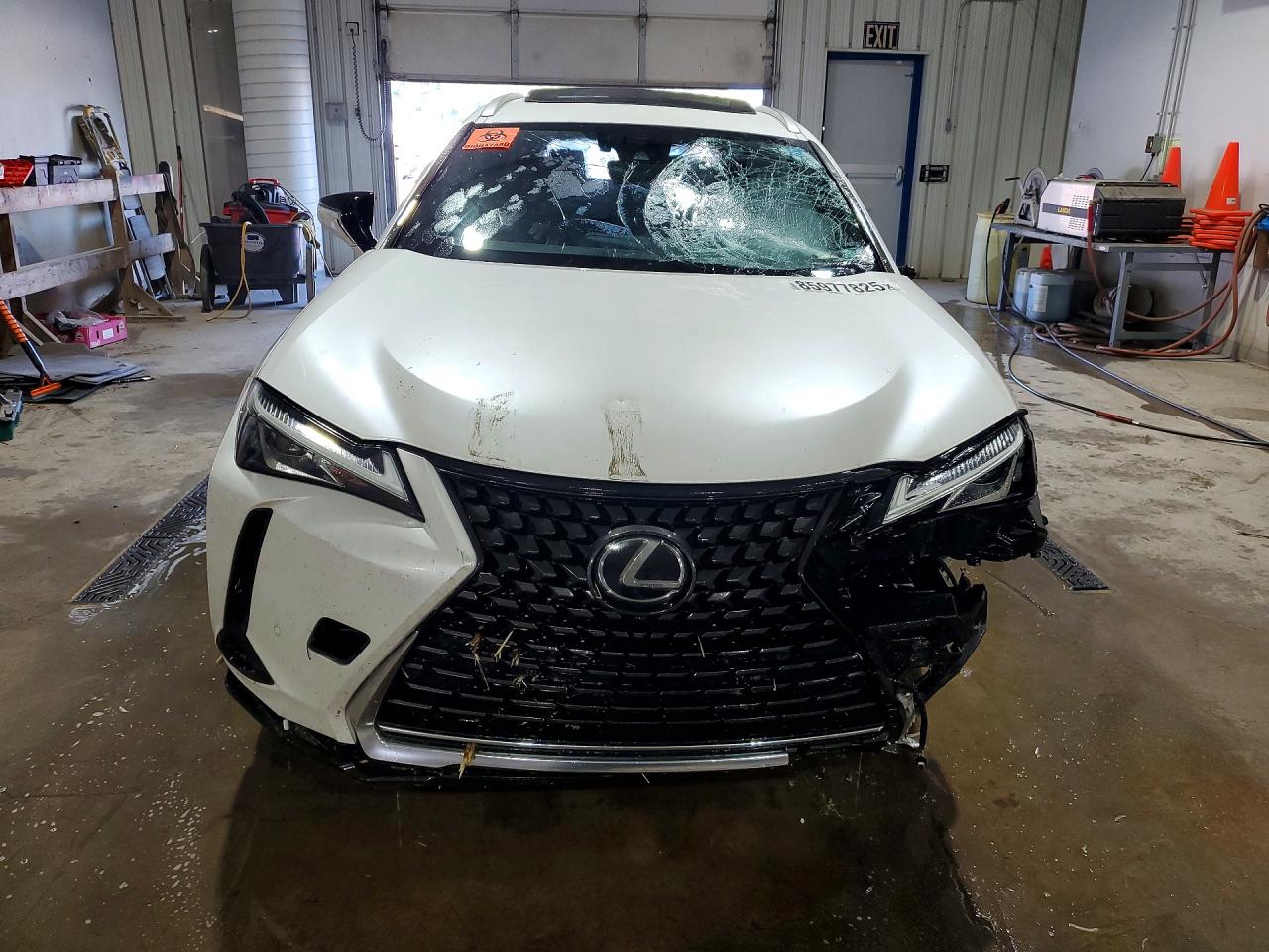 2019 LEXUS ALL OTHER