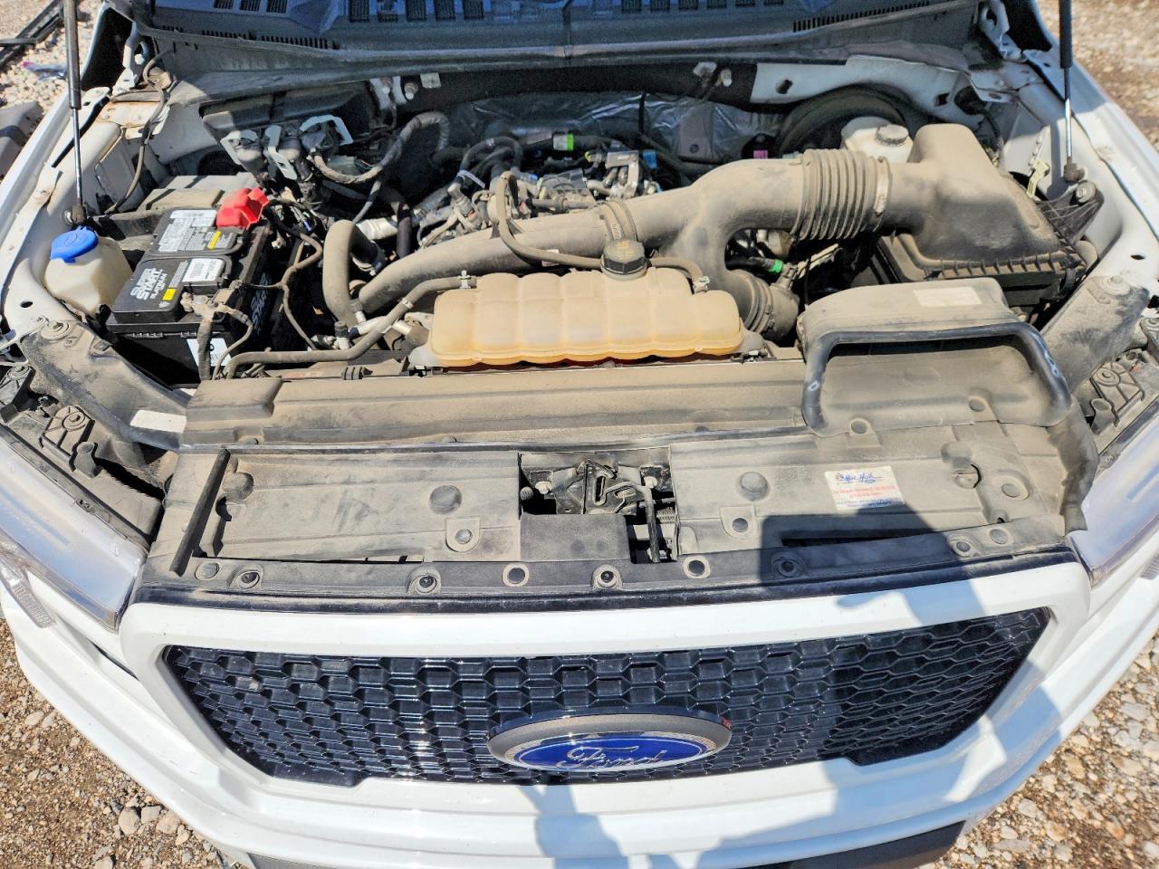 2019 FORD F150