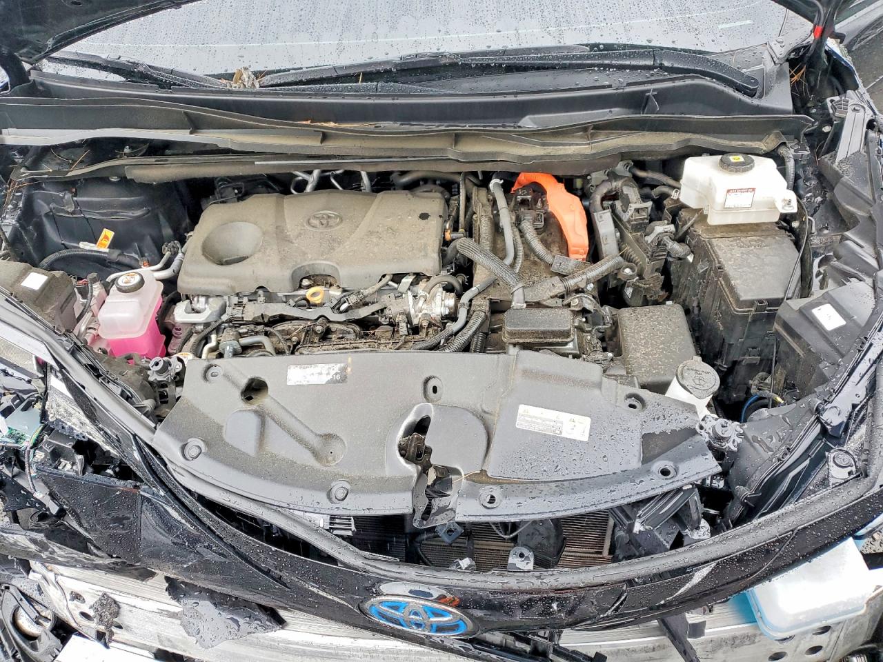 2025 TOYOTA SIENNA