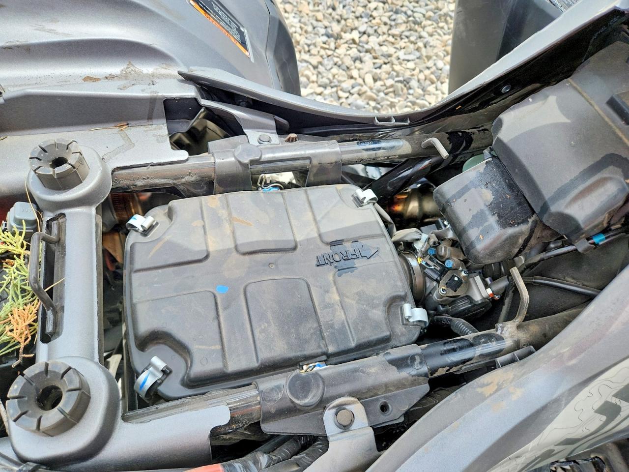 2026 HONDA TRX