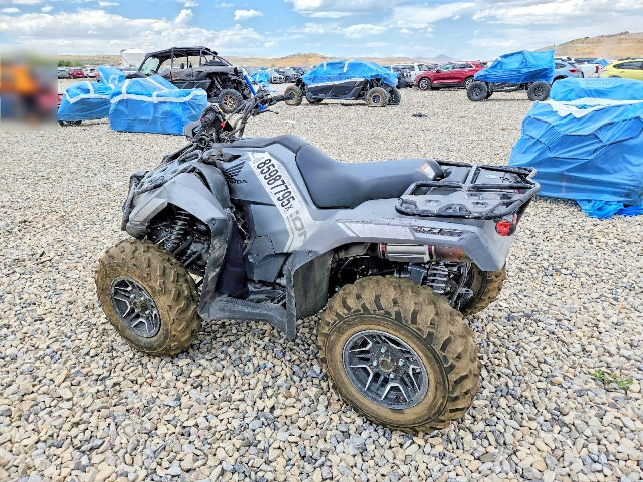 2026 HONDA TRX
