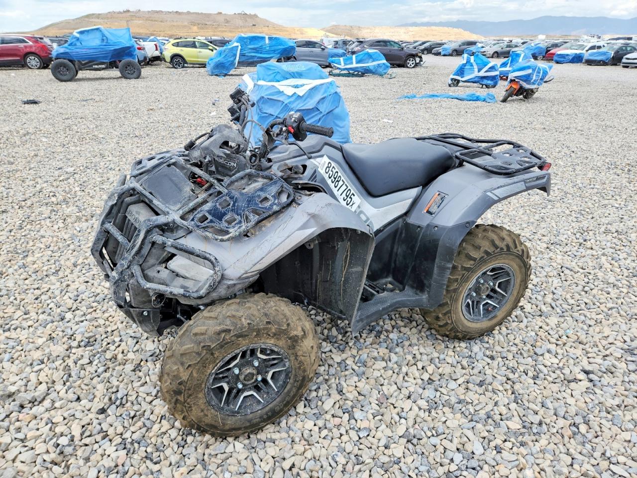 2026 HONDA TRX