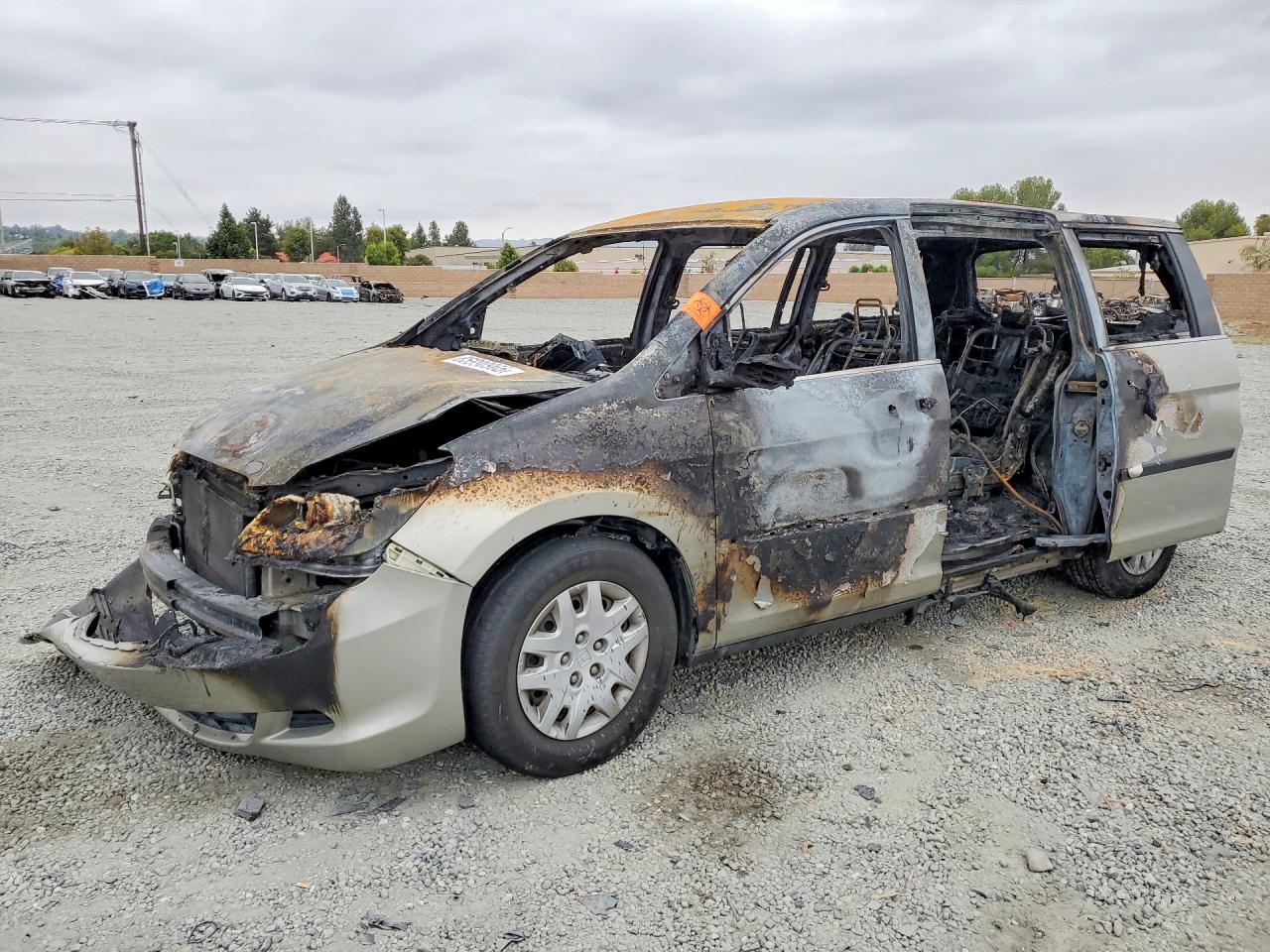 2006 HONDA All Models