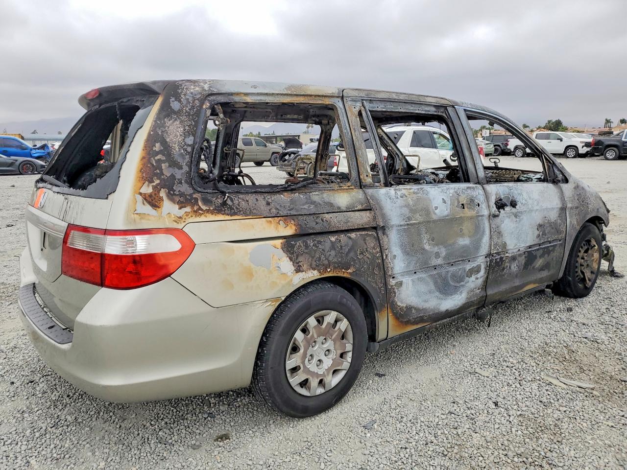 2006 HONDA All Models