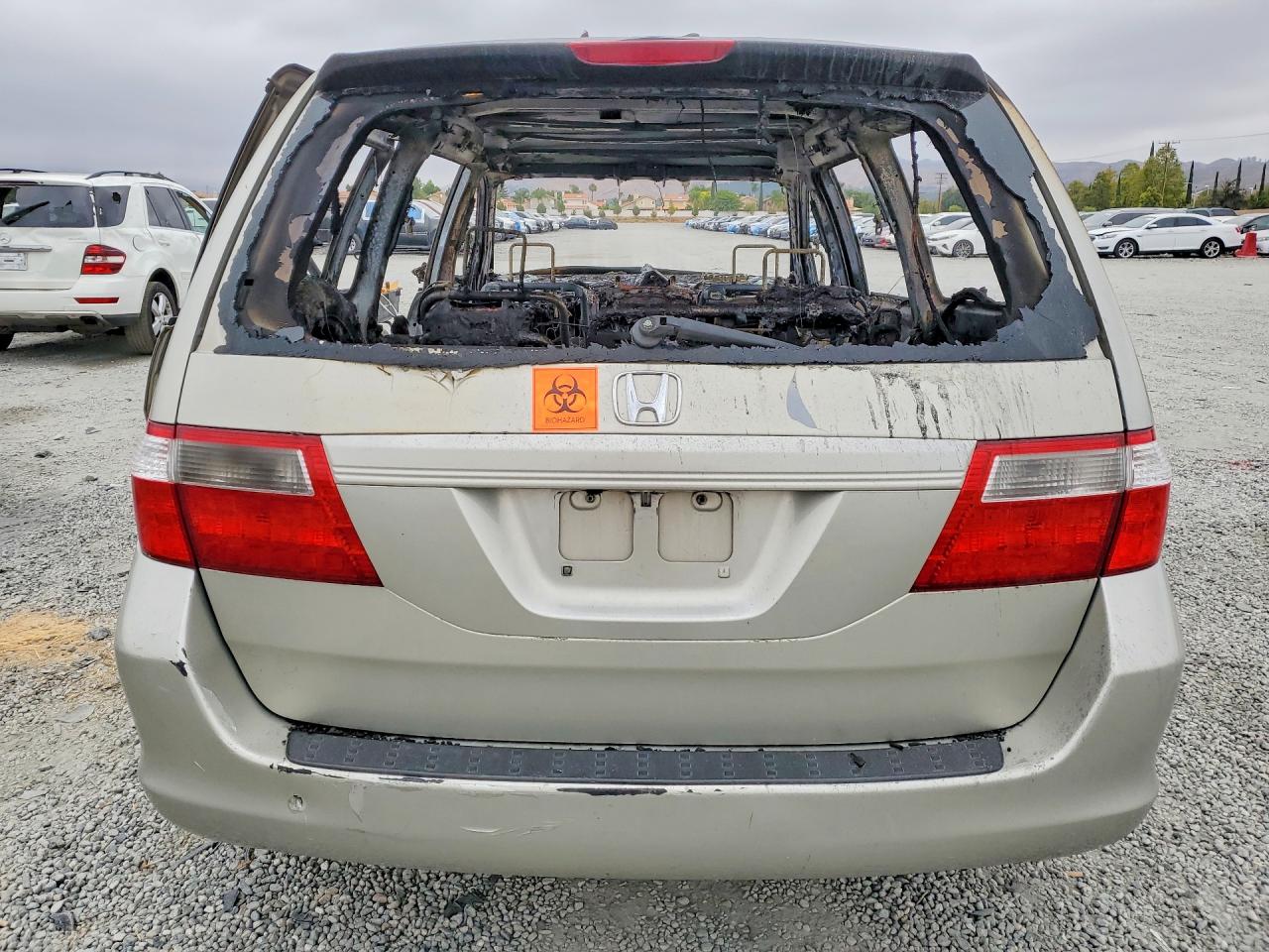 2006 HONDA All Models