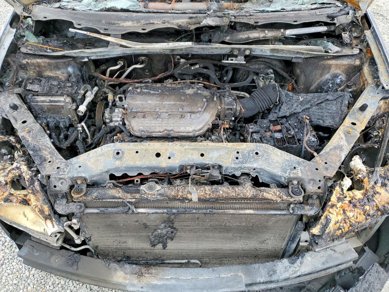 2006 HONDA All Models