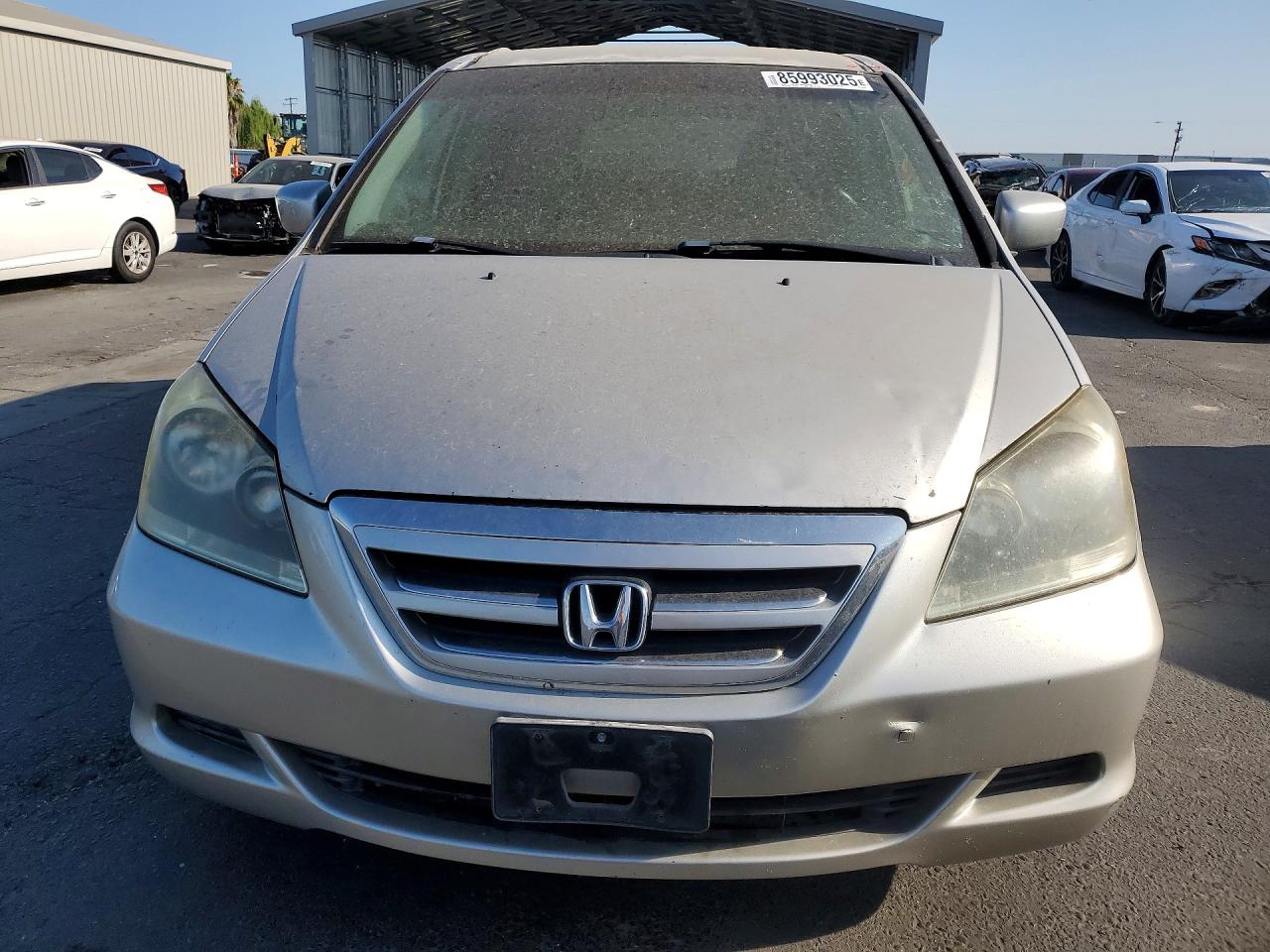 2007 HONDA All Models