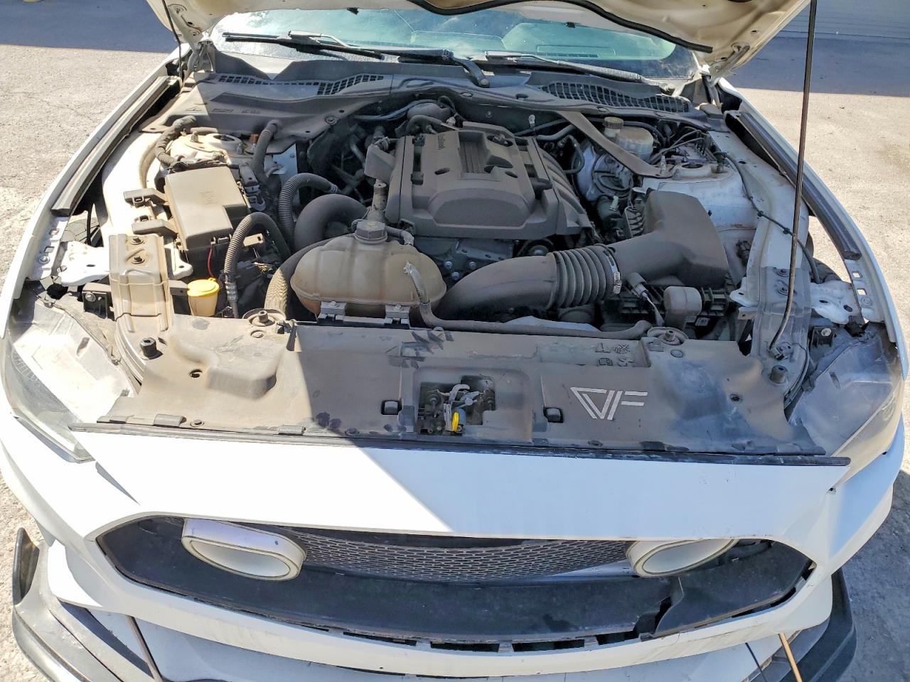2019 FORD ALL Models