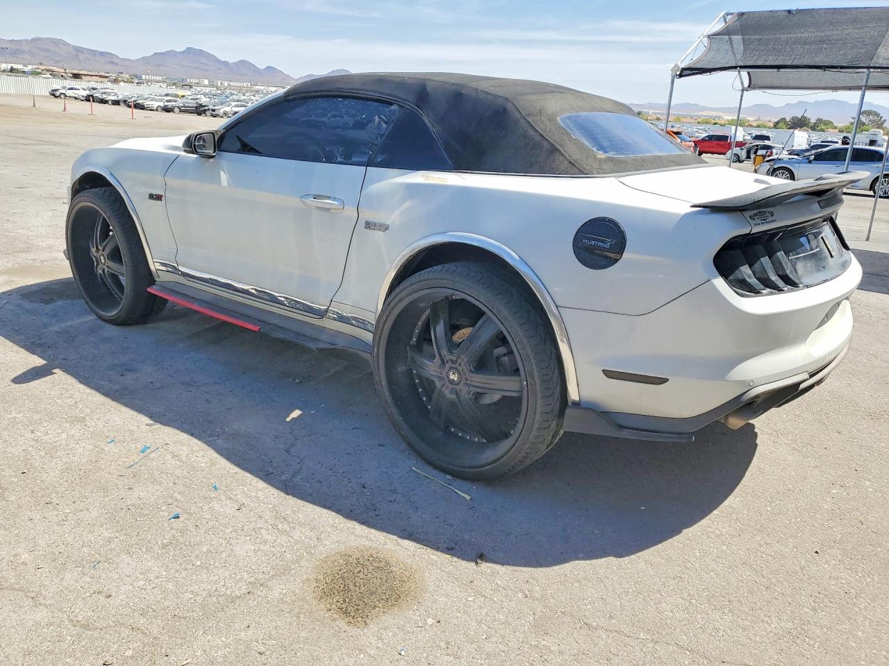 2019 FORD ALL Models