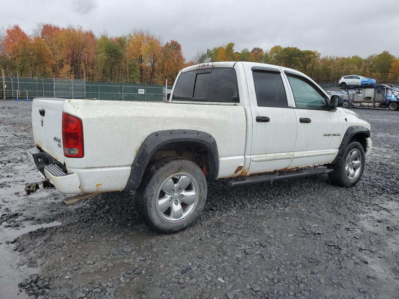 2005 DODGE All Models