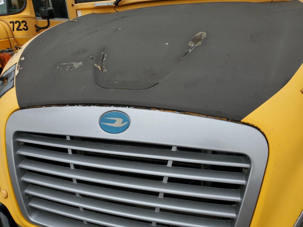 2009 BLUE BIRD ALL MODELS