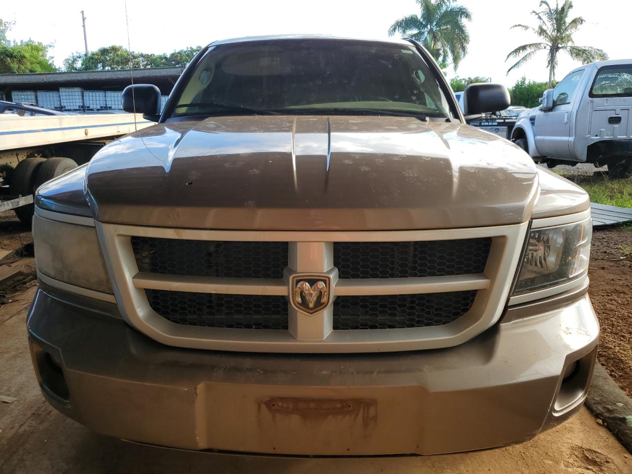 2010 DODGE DAKOTA