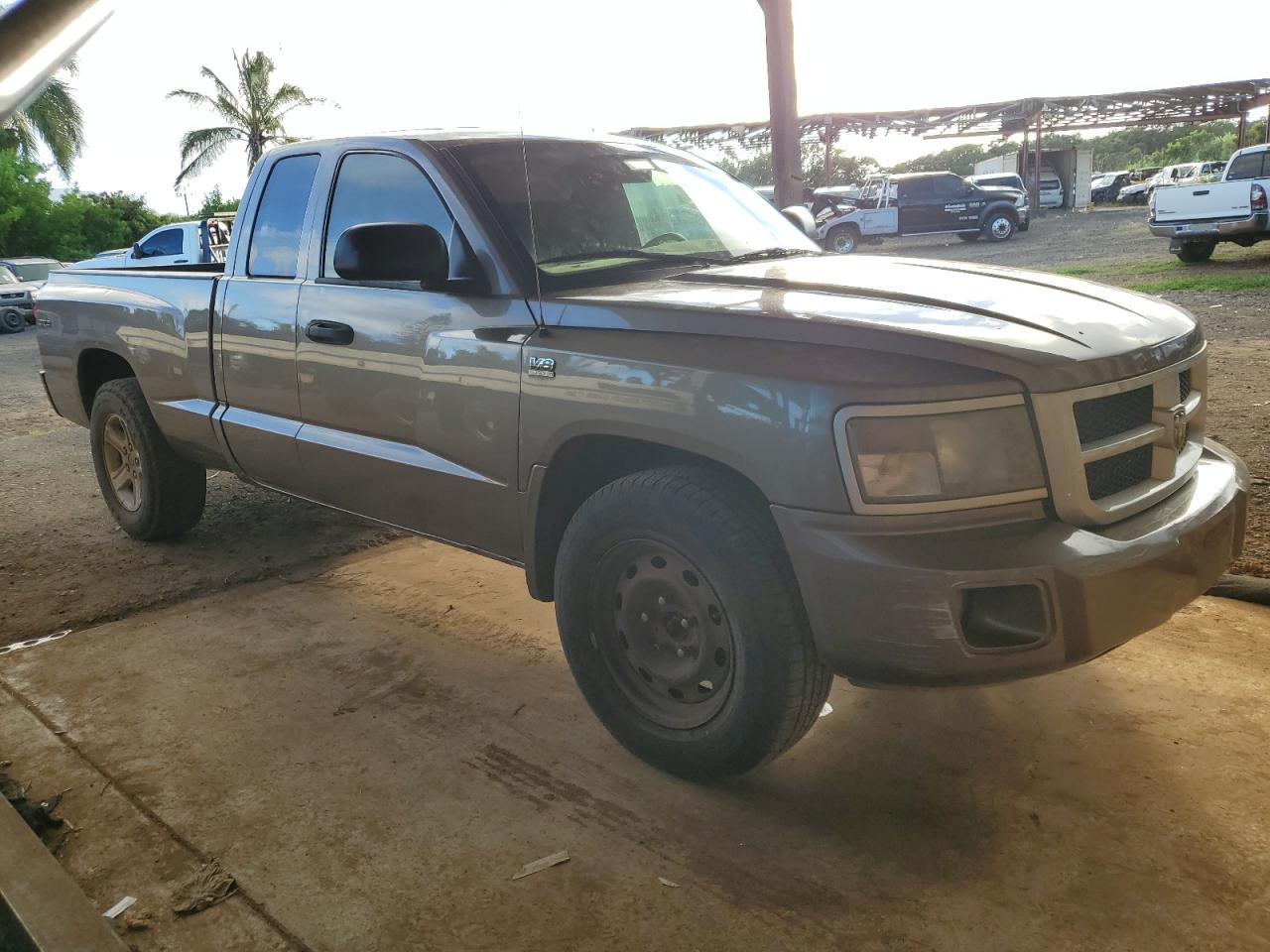 2010 DODGE DAKOTA