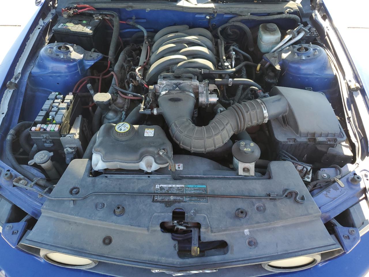 2005 FORD MUSTANG