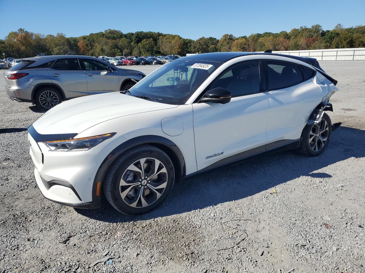 2021 FORD MUSTANG