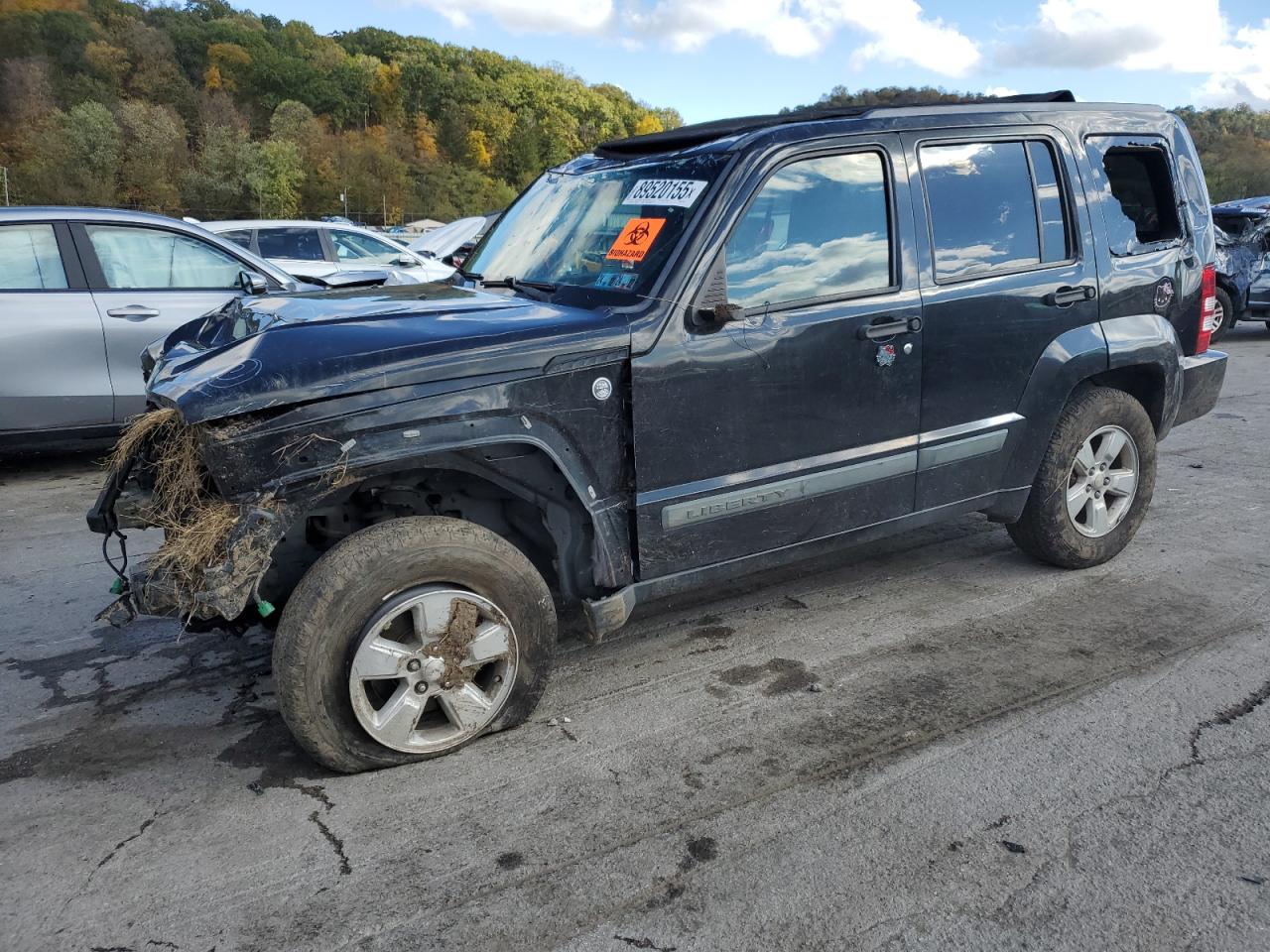 2010 JEEP LIBERTY