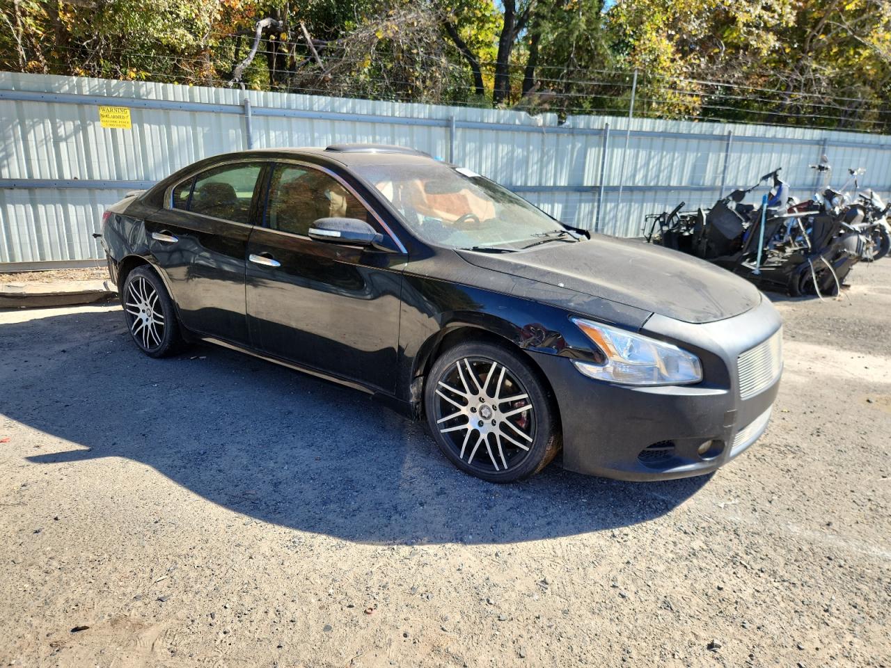 2011 NISS MAXIMA