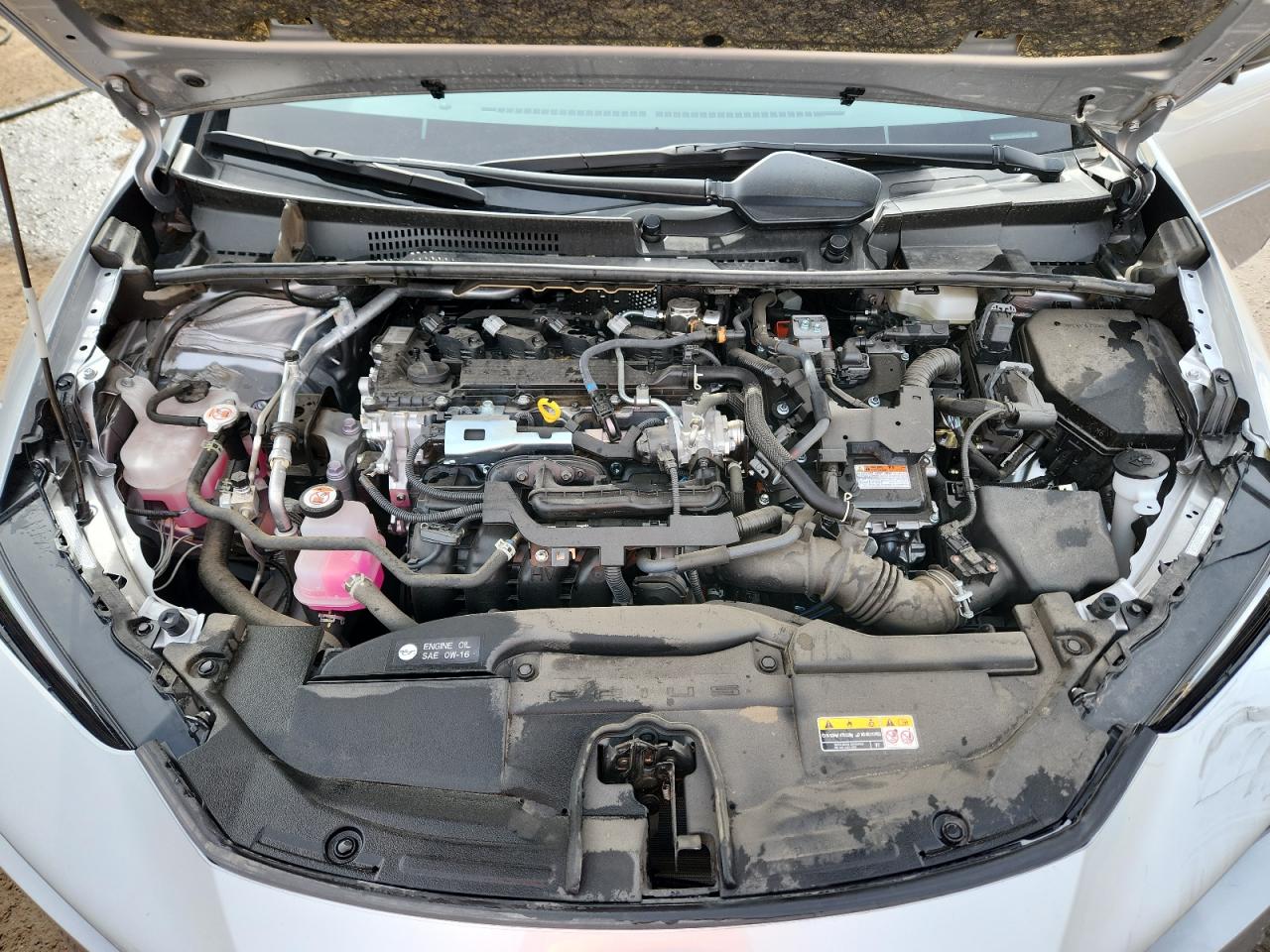 2024 TOYOTA PRIUS