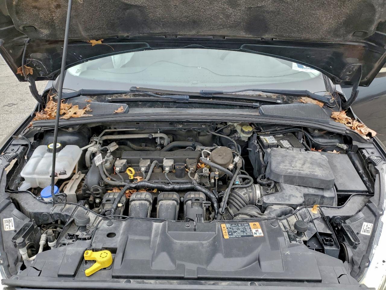 2015 FORD FOCUS