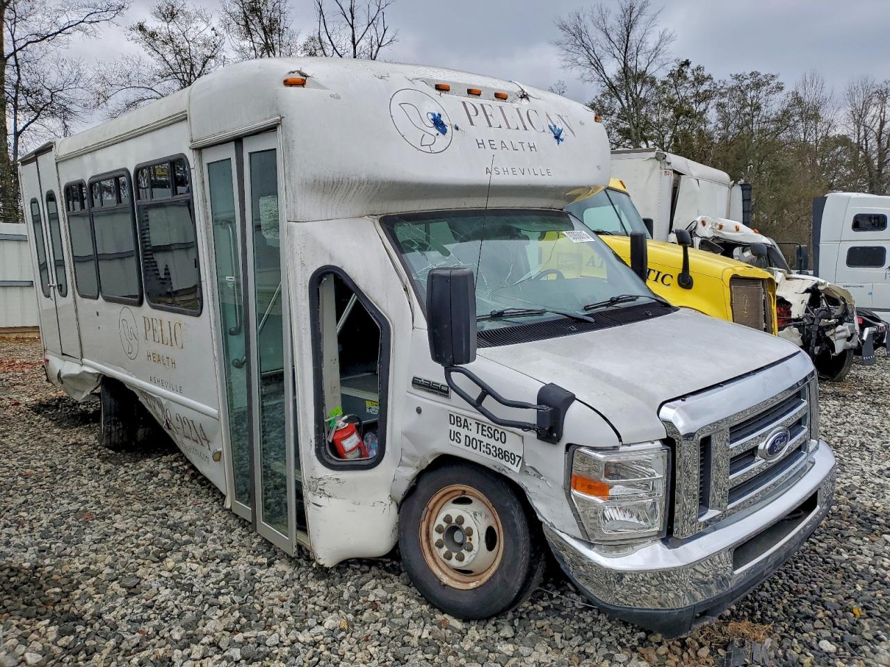 2019 FORD ALL Models