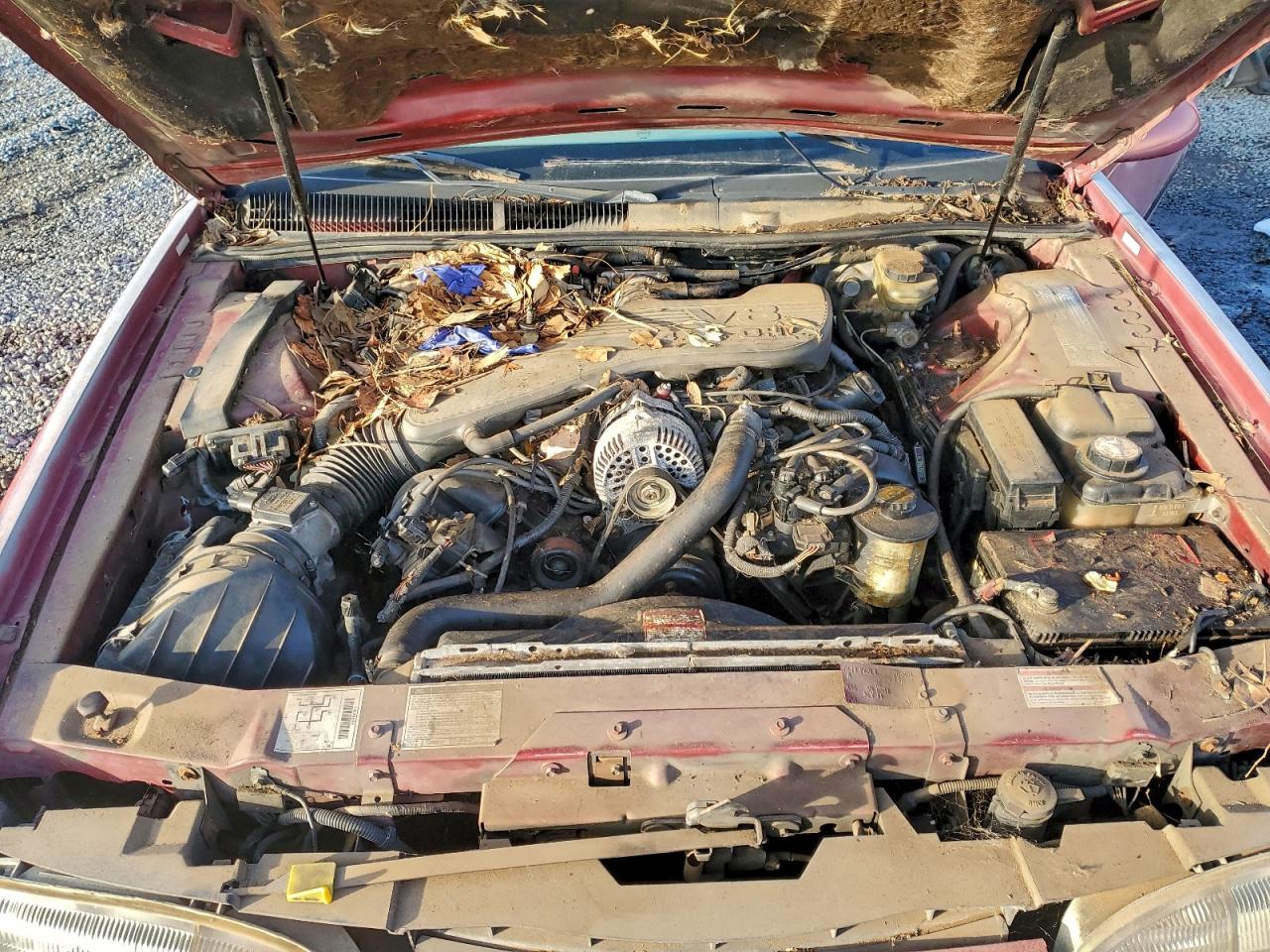 1995 FORD TBIRD