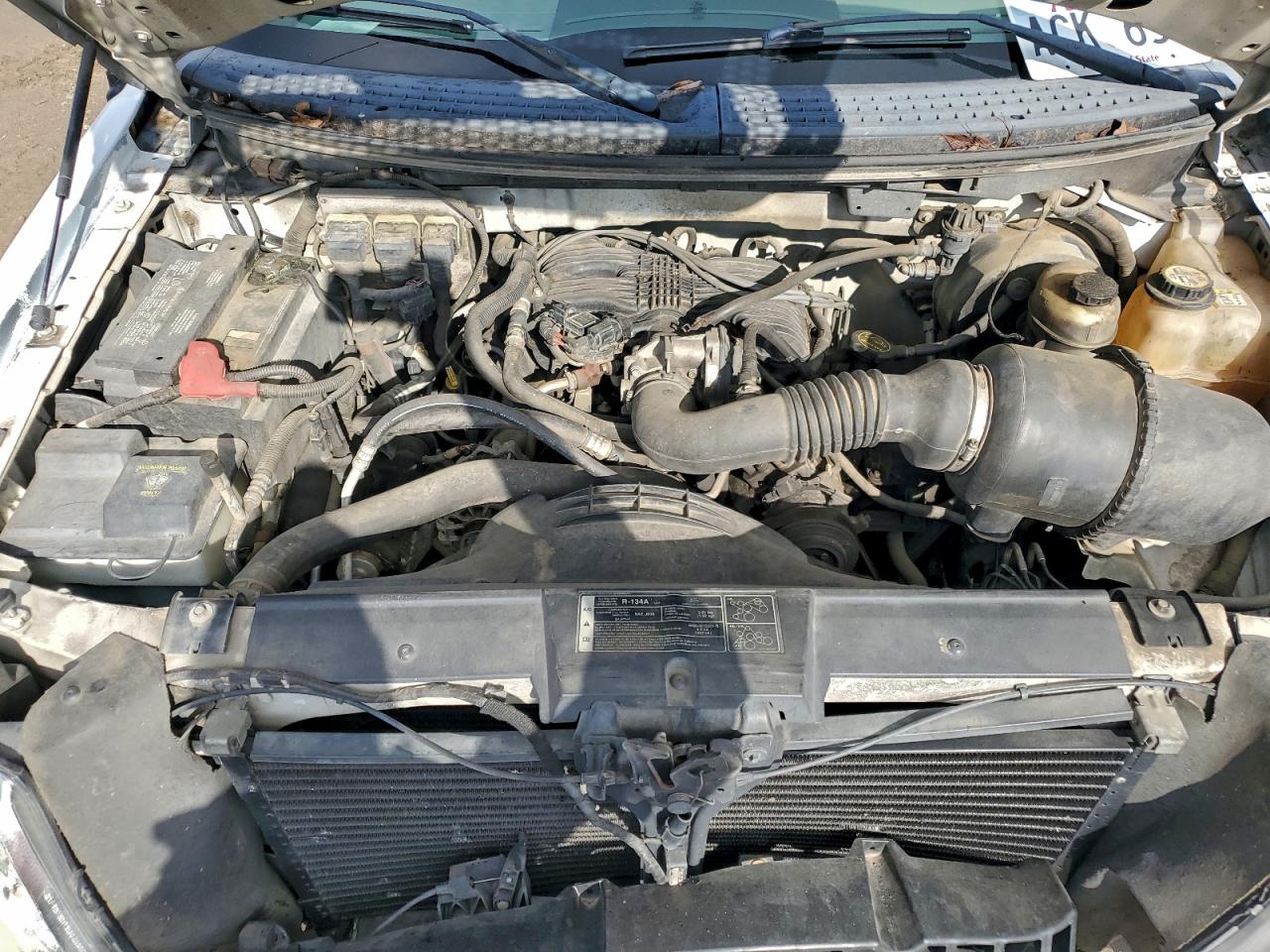2006 FORD All Models