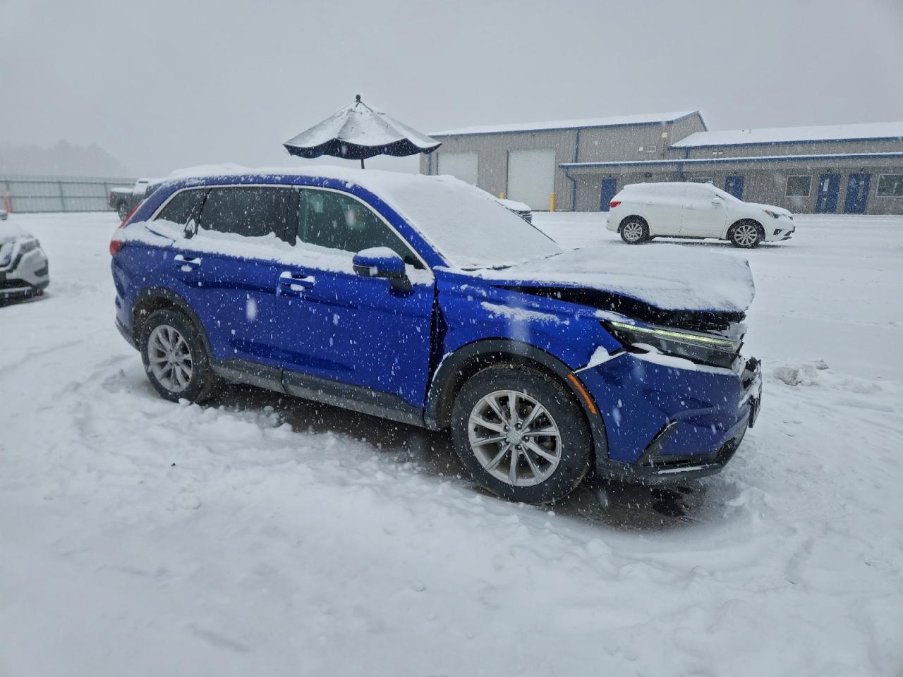 2023 HONDA CRV