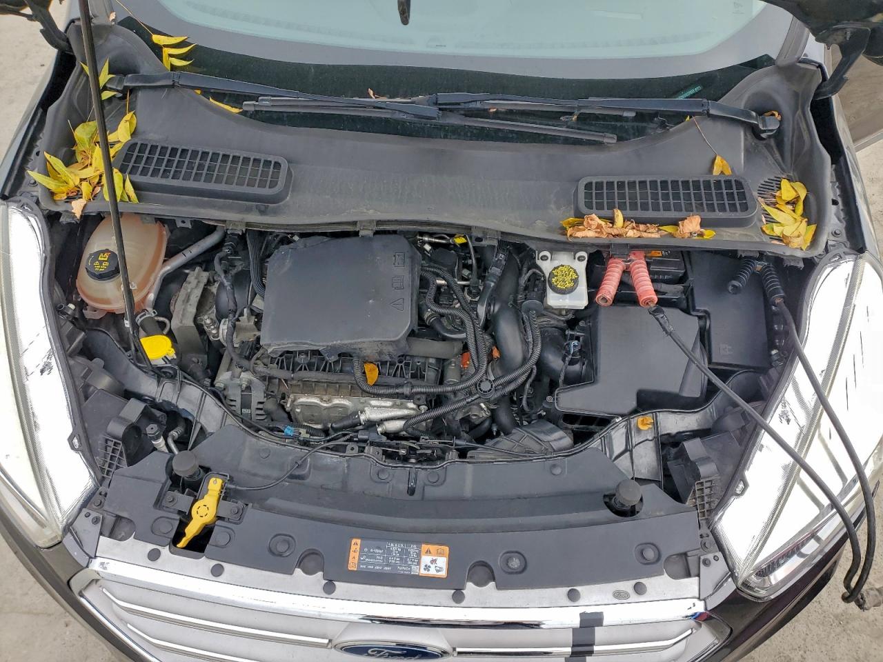 2019 FORD ESCAPE