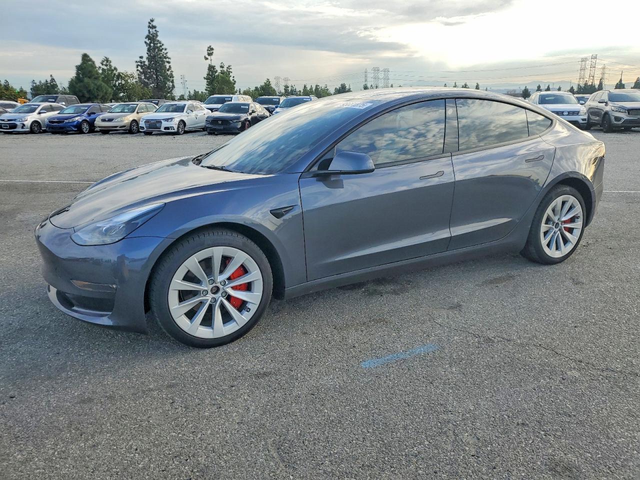 2023 TESLA MODEL 3